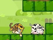 Tiger Eats Cow