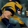 Wolverine MRD Escape